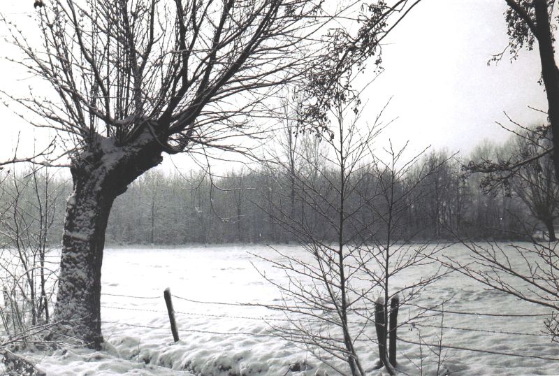 Het Woolthuis