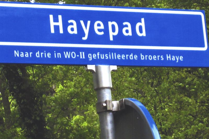 Hayepad