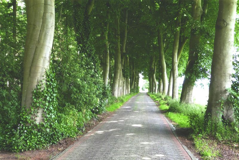 Blankenvoortsweg