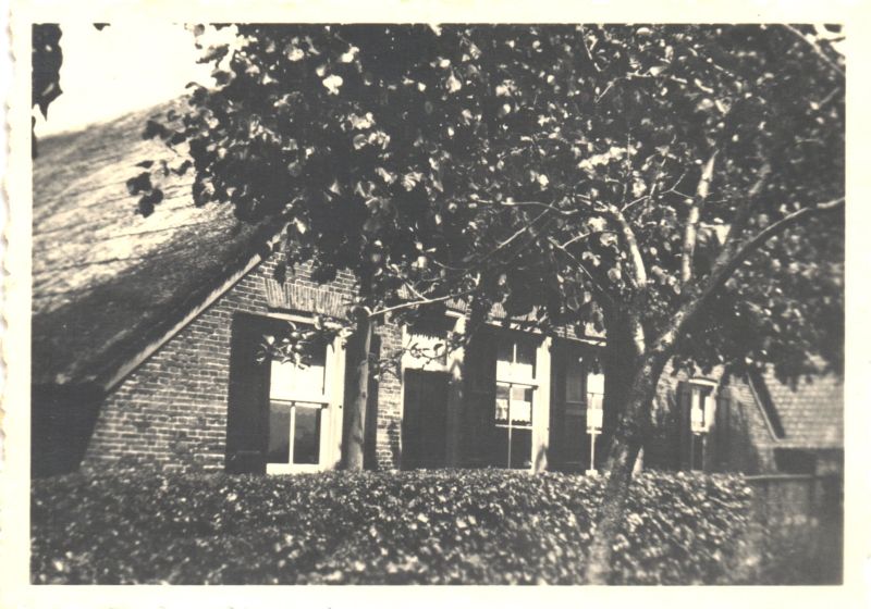 Blankenfoort