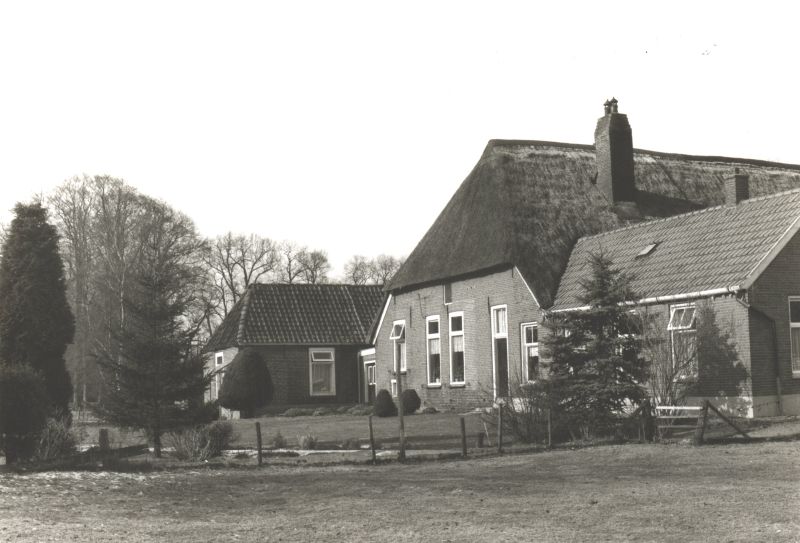 Issels
