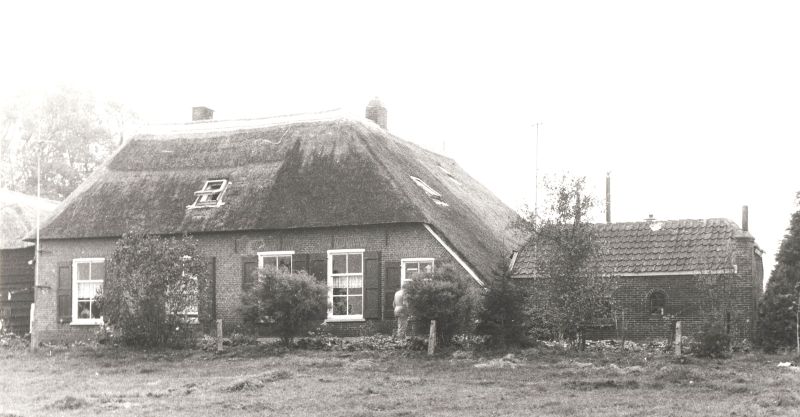 Blankvoort