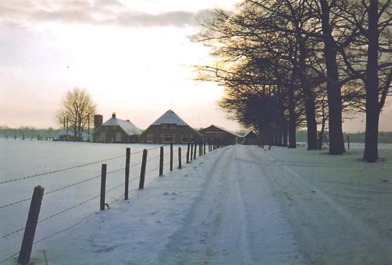 Kortstede