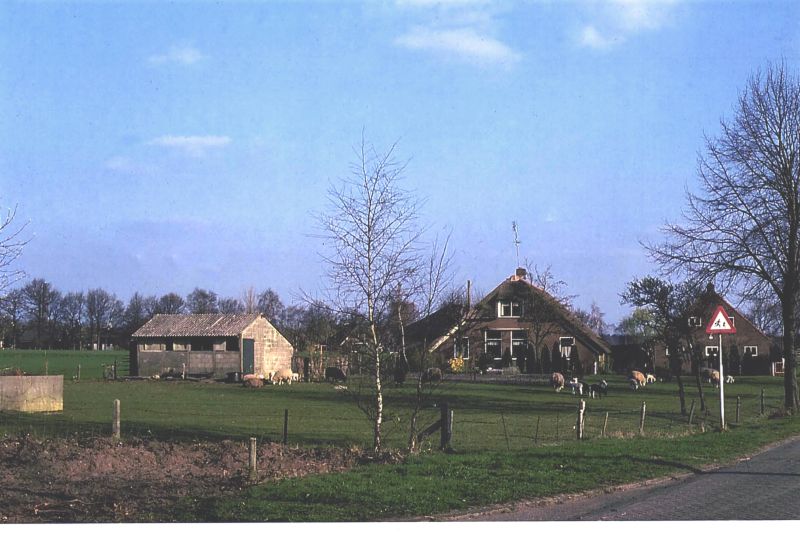 Holtermans an 