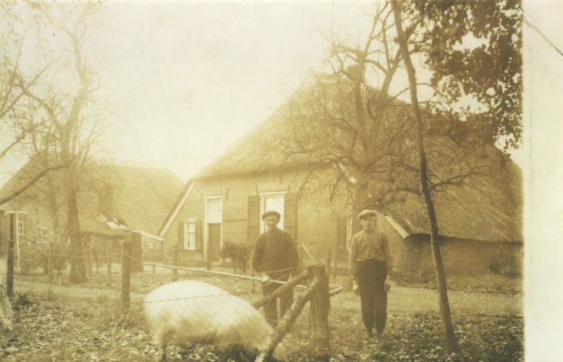 Wienen