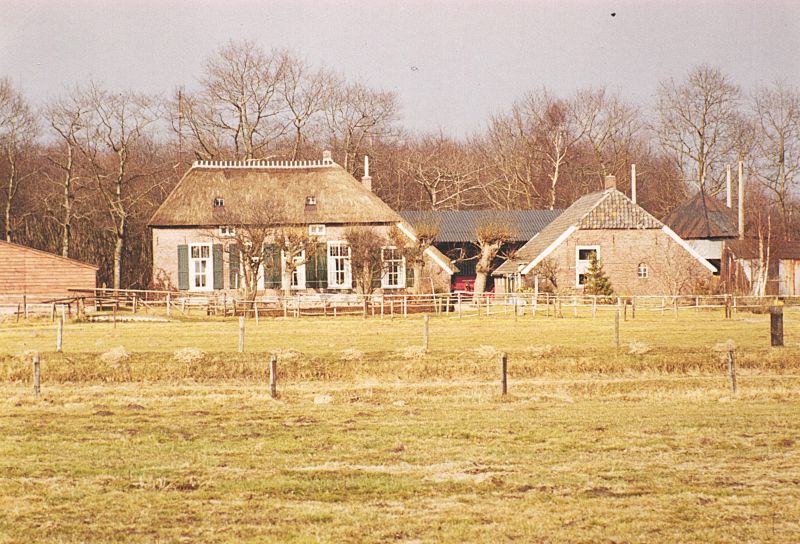 Solen