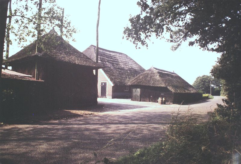 Sonnebelt
