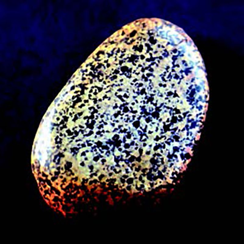 Prehistorie tot 1000 nC