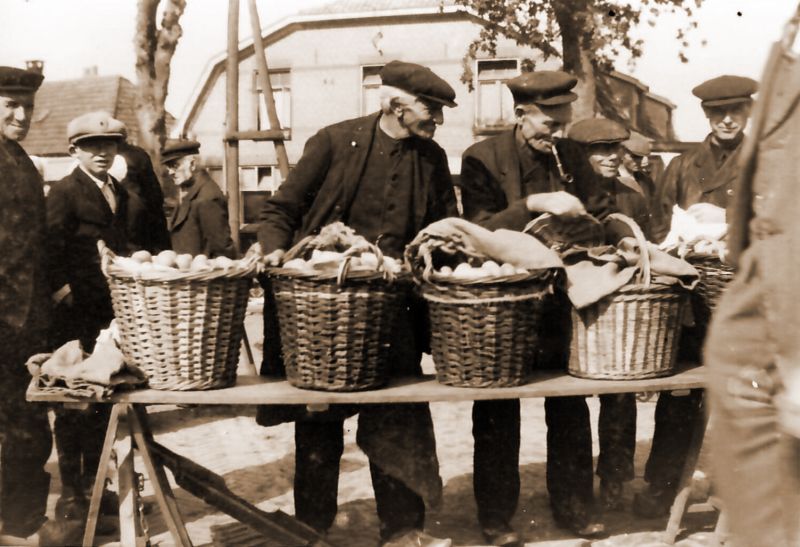 De ontwikkeling van Heino door de eeuwen heen De ontwikkeling van Heino door de eeuwen heen